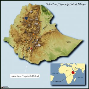 Ethiopia natural Yirgacheffe Gr. 1 – Meteku Shento
