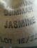 ETHIOPIA DJIMMAH JASMINE_1