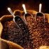 Costa Rica Trace Tirra Tarrazu Honey_1